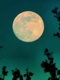 Episódio 53 - Valorizada pelo Meu Irmão Alfa