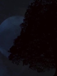 Episode 64 - Die verborgenen Wünsche meines Mannes