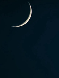 Episode 60 - Die verborgenen Wünsche meines Mannes