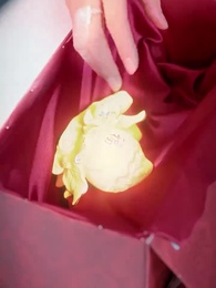 Episode 12 - Returned Daughter, Hidden Billionaire