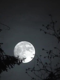 A Sucessora de Royal é uma Criada - Episode 34