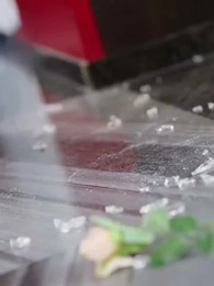 7화 - 예상 밖의 결혼생활