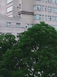 ตอนที่ 58 - ใช่ ฉันเป็นบ้าไปแล้ว