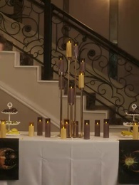 Episode 36 - Surrogate for the President Alpha