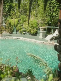 Episode 19 - Surrogate for the President Alpha