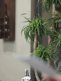 Episode 42 - Cinta yang Terulang