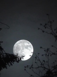 ¡La Princesa Es Una Criada! - Episode 34