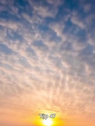 Tập 47 - Ngọa Hổ Tàng Long: Sở Phi Truyện