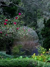 Apreciada por mi hermano Alpha - Episode 14