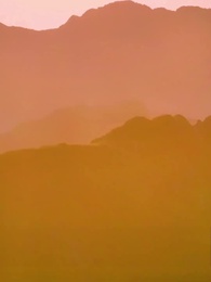 Episodio 27 - Apreciada por mi hermano Alpha