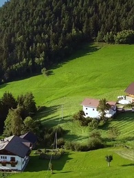 Episodio 49 - Apreciada por mi hermano Alpha