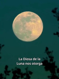 Episodio 70 - Apreciada por mi hermano Alpha