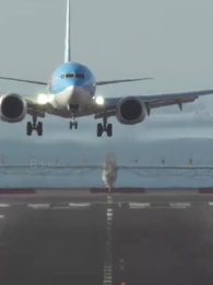 Diving into Love - Episode 2