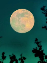 Episode 53 - Verwöhnt von meinem Alpha-Bruder