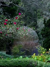 Episode 14 - Verwöhnt von meinem Alpha-Bruder