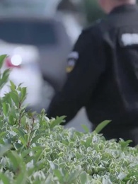 Episode 37 - Fated Reunion: Love Me Before Sunset