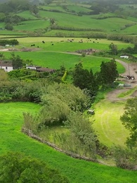 Episode 24 - Surrogate for the President Alpha - B Ver.