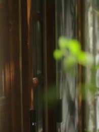 Surrogate for the President Alpha - B Ver. - Episode 53