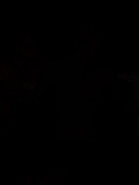 Épisode 13 - Liée à la Mauvaise Mafia