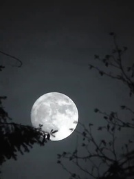 Die königliche Erbin als Dienstmädchen! - Episode 34