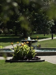 A Bird In The Cage - Episode 55