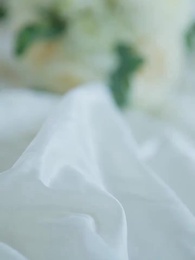 Episodio 3 - La Pareja Falsa o Destinada del Alfa