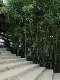 รักต้องมนตรา - Episode 76