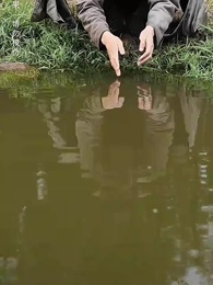 第1集 - 微雨燕雙飛