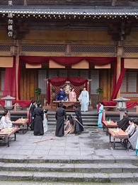 第19集 - 微雨燕雙飛