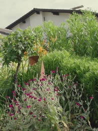 Episode 24 - Verliebt in meine verschwundene Braut