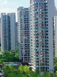 Tập 4 - Thân Phận Bị Đánh Cắp