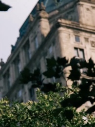 Amor do Alpha: Real ou Farsa? - Episode 4