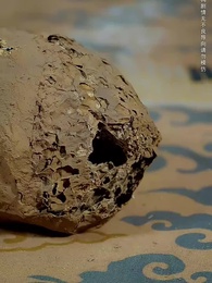 第28集 - 錦鯉妹妹旺全家