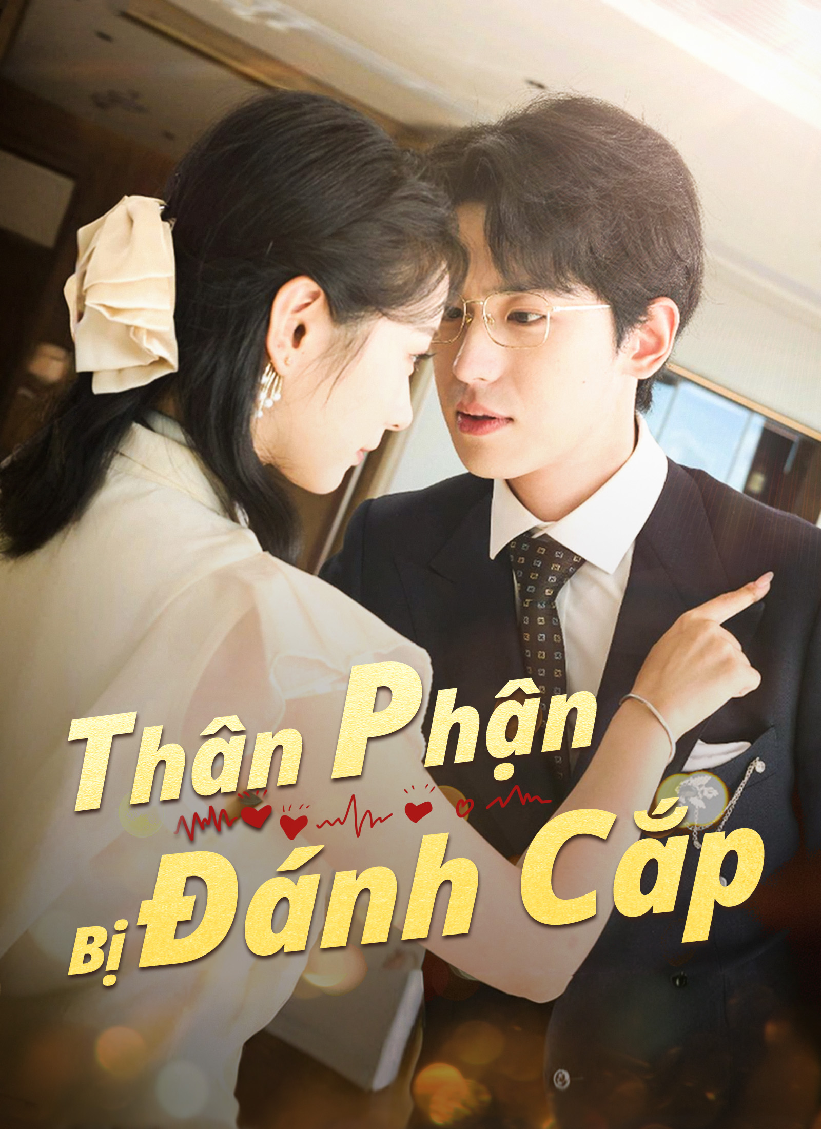 Ảnh bìa Thân Phận Bị Đánh Cắp
