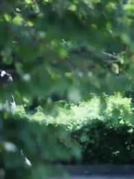 宁楽将軍記 - Episode 1