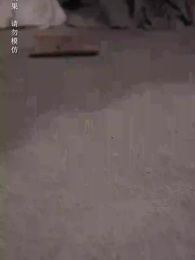 第9集 - 微雨燕雙飛