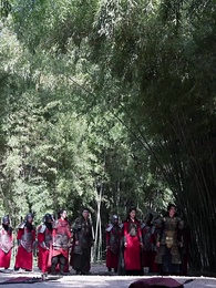 ตอนที่ 28 - ถังหนิงจะปลดสามี