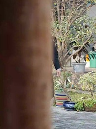 第8集 - 總裁老媽是大佬