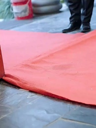 第23集 - 總裁老媽是大佬