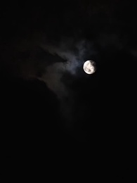 第38集 - 中年如玫