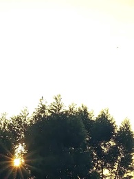 Episode 50 - The CEO Returns