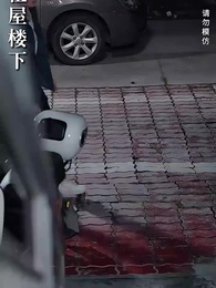 第16集 - 求愛不如自愛