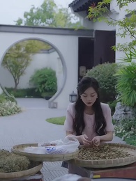 Episode 24 - Rekindled Love: Never Let Me Go Again