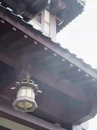 第63集 - 肥妻翻身，小綠茶買一送一