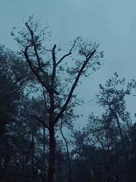 第39集 - 肥妻翻身,小綠茶買一送一