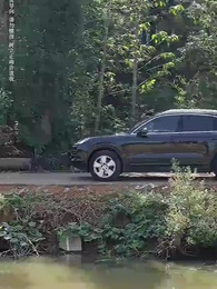 再嫁豪門不嫌晚 - Episode 53