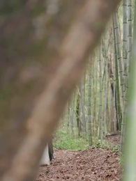 Turnaround: A Miracle Doctor's Adventure - Episode 38