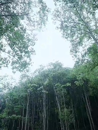 銀漢迢迢 - Episode 15