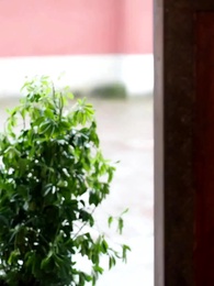 第36話 - [吹替] 運命の恋～やっと君を見つけた～