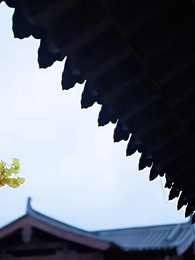 第18集 - 惜分飛